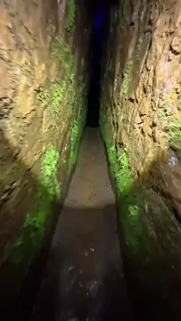 Image to Video showcase example 6